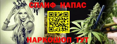 трава Обнинск