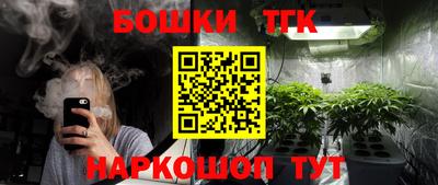 spice Обь
