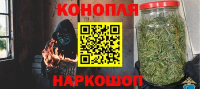 spice Обь