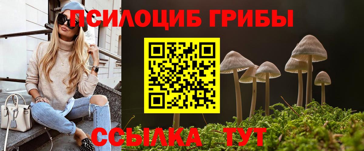 Урюпинск  Псилоцибиновые грибы Psilocybine cubensis  наркота  Вход с VPN 
